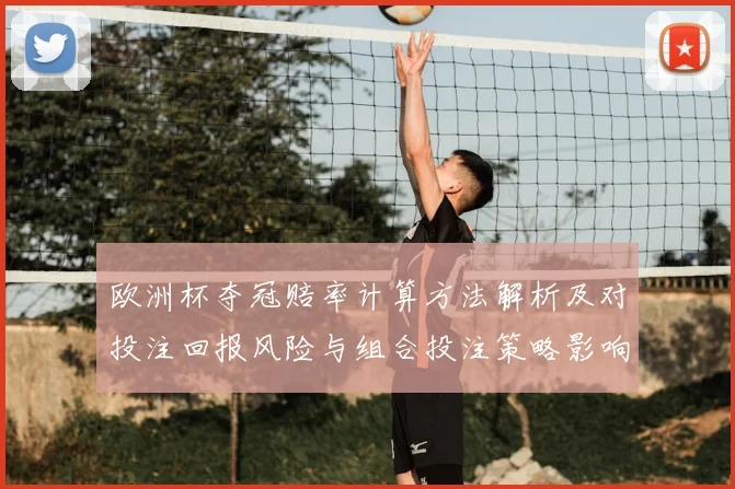 欧洲杯夺冠赔率计算方法解析及对投注回报风险与组合投注策略影响
