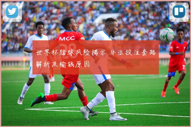 世界杯赌球风险揭示 非法投注套路解析及输钱原因