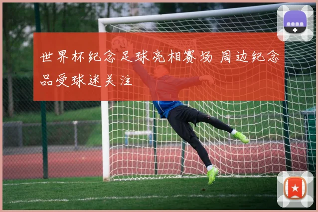 世界杯纪念足球亮相赛场 周边纪念品受球迷关注