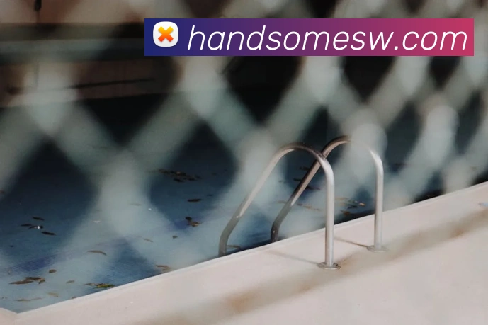 华体网首页官网平台生态图