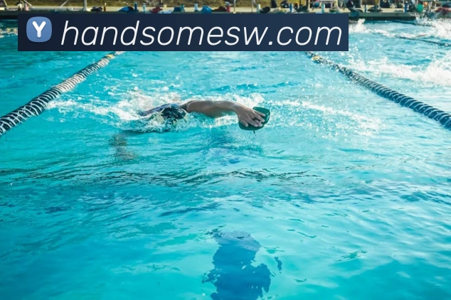 华体网首页官网APP 封面图